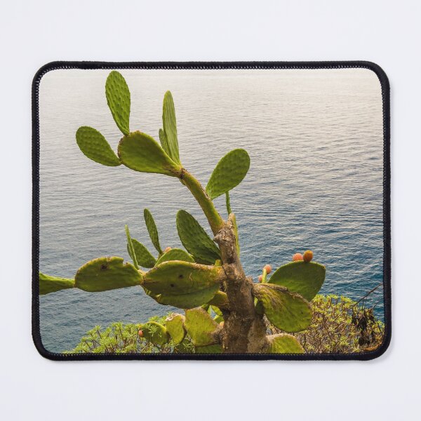 Item preview, A big prickly pear cactus plant (Opuntia) on a cliff in Corniglia and overlooking the Cinque Terre sea in Liguria, Italy. designed and sold by H-AB.