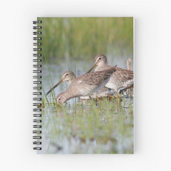 Item preview, Long-billed Dowitchers designed and sold by adjohnson.