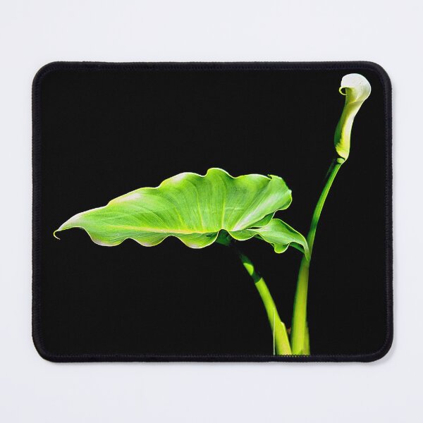 Item preview, Homage to O'Keeffe designed and sold by Bryan Spellman.