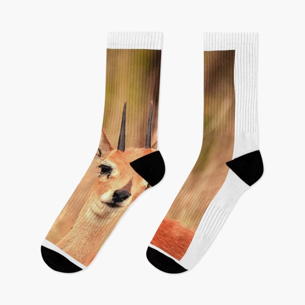 Item preview, deer photo with high resolution quality designed and sold by Allyouneed-2.