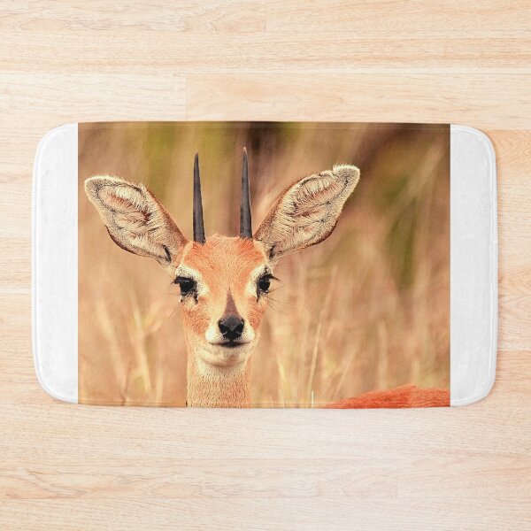 Item preview, deer photo with high resolution quality designed and sold by Allyouneed-2.