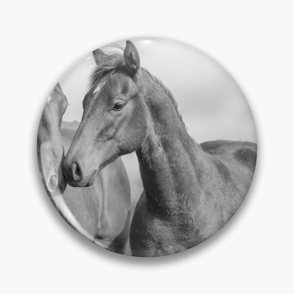 Aperçu de l'œuvre Amis du cheval créée et vendue par FastTrackPhotog.