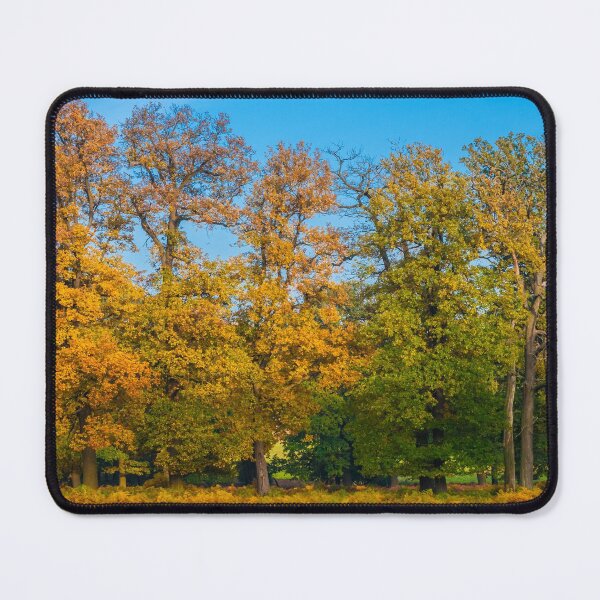 Item preview, Golden Autumn I designed and sold by H-AB.