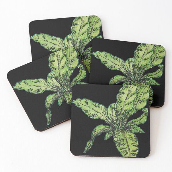 Item preview, Bird's Nest Fern designed and sold by Chloe Young.