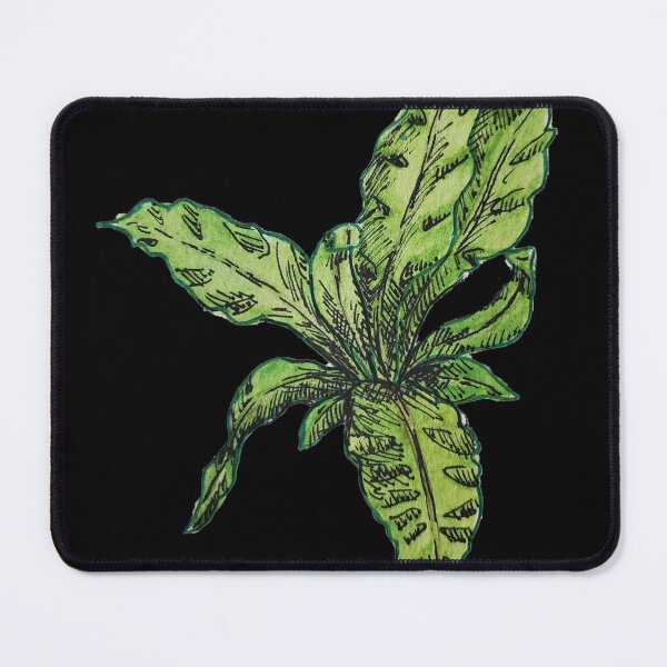 Item preview, Bird's Nest Fern designed and sold by Chloe Young.