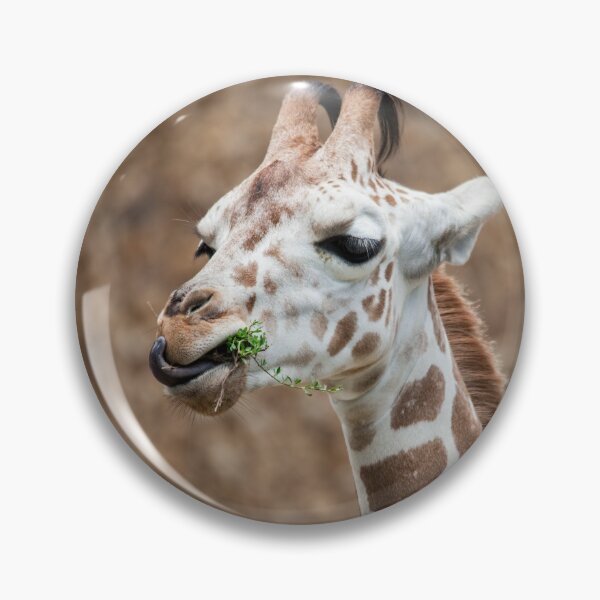 Item preview, Giraffe Eating Grass designed and sold by Leslie Banks.