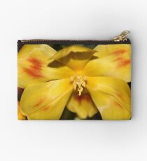 Tulip Or Butterfly? Studio Pouch