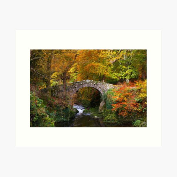 Tollymore Forest Park County Down Northern Ireland Art Print