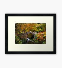 Tollymore Forest Park County Down Northern Ireland Framed Print