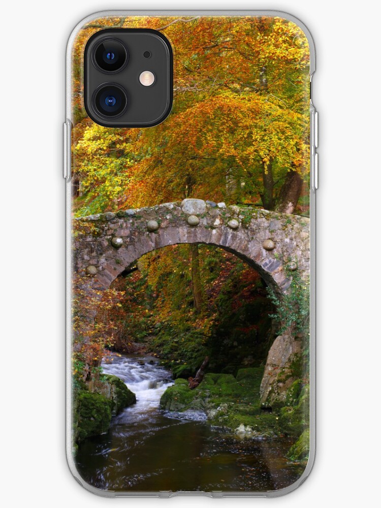 Northern forest iPhone 11 case Northern forest iPhone 11 case