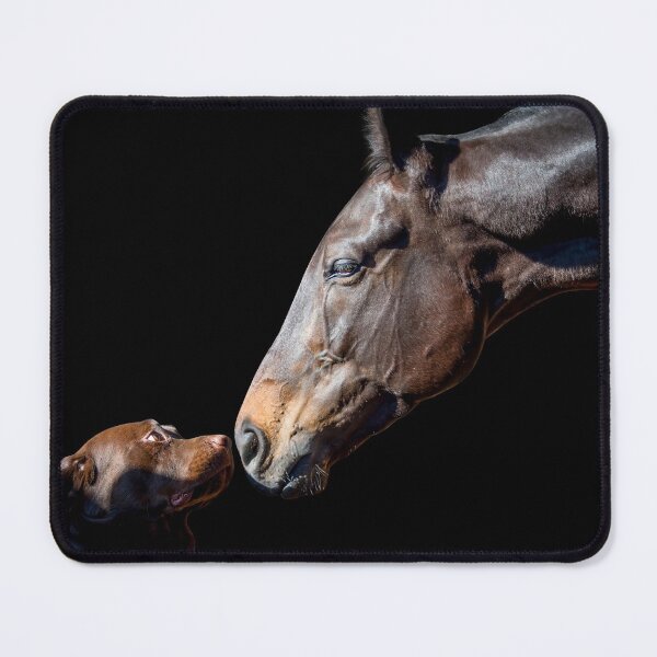 Item preview, Equino y canino designed and sold by FastTrackPhotog.