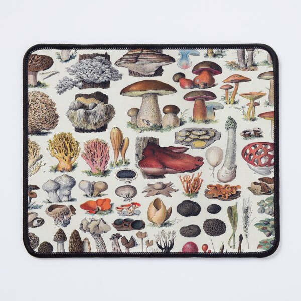 Item preview, Champignon Vintage Illustration 2 - Millot Mushroom Identification 2 designed and sold by molamode.