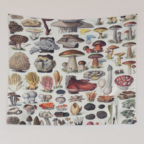 Item preview, Champignon Vintage Illustration 2 - Millot Mushroom Identification 2 designed and sold by molamode.