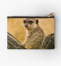 Cute Timon Studio Pouch
