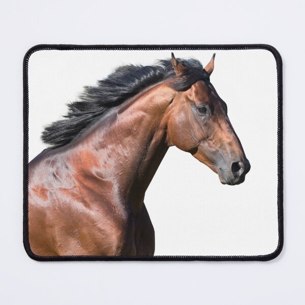 Item preview, The Stallion designed and sold by FastTrackPhotog.