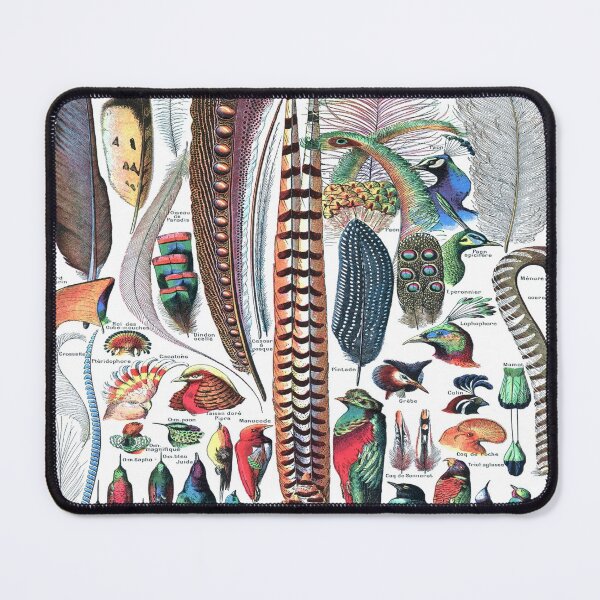 Item preview, Adolphe Millot Plumes - Vintage Bird Feathers Identification designed and sold by molamode.