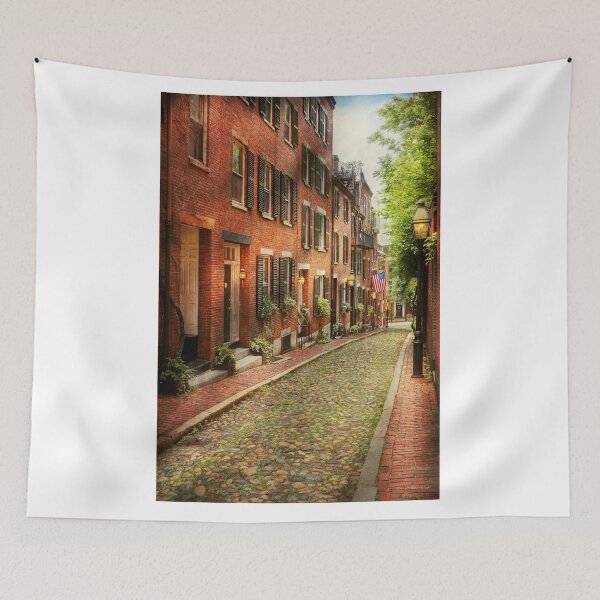 Item preview, City - Boston MA - Acorn Street designed and sold by Mike Savad Photography.