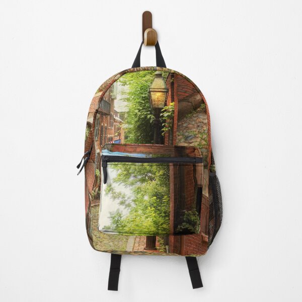 Item preview, City - Boston MA - Acorn Street designed and sold by Mike Savad Photography.