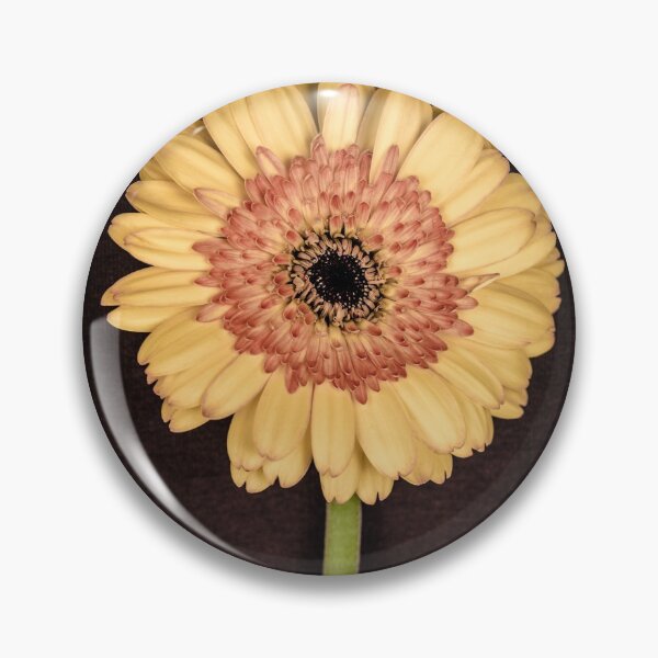 Item preview, Margarita amarilla del Gerbera designed and sold by Leslie Banks.