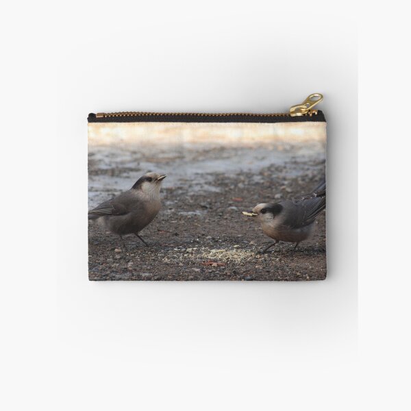 Item preview, Canada Jays designed and sold by zumi.
