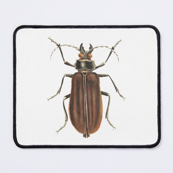 Item preview, The Majestic Beetle designed and sold by utopianpioneer.