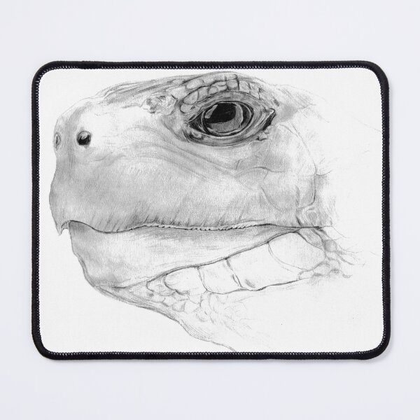 Item preview, Red-footed Tortoise Portrait designed and sold by HeadBlaze.