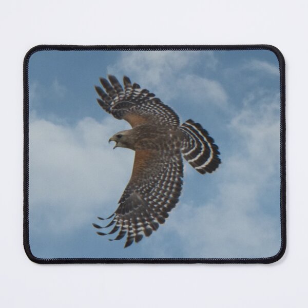 Item preview, Red-shouldered Hawk designed and sold by HeadBlaze.