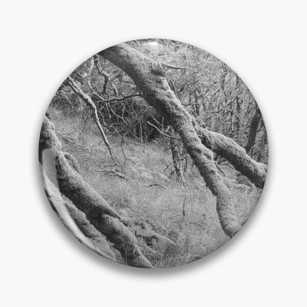 Item preview, Ariundle Oakwood 8: retired designed and sold by ShinyPhoto.