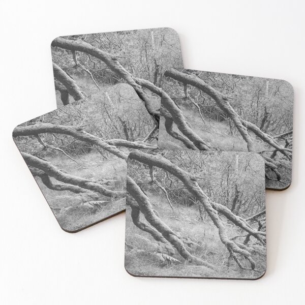 Item preview, Ariundle Oakwood 8: retired designed and sold by ShinyPhoto.