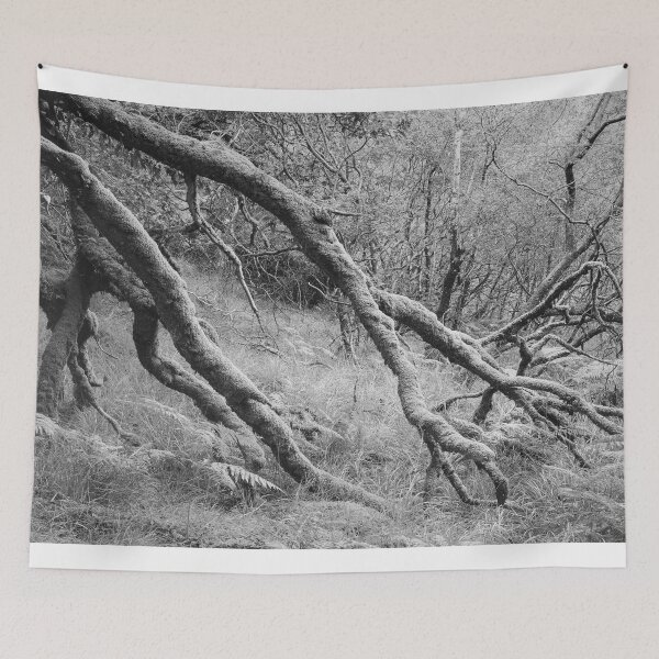 Item preview, Ariundle Oakwood 8: retired designed and sold by ShinyPhoto.