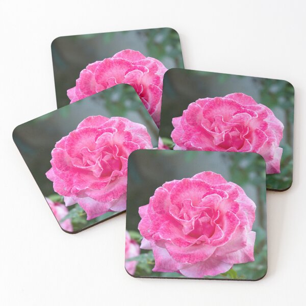 Item preview, The beauty of the rose designed and sold by Kiran-Fine-Art.