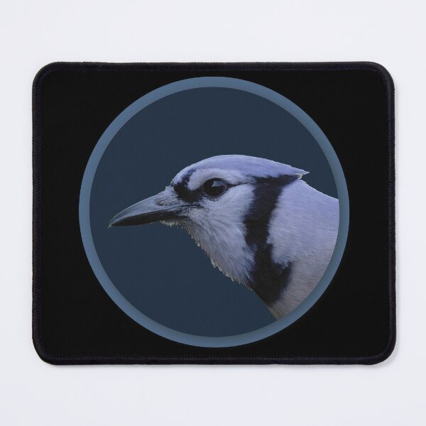 Item preview, Bluejay designed and sold by HeadBlaze.
