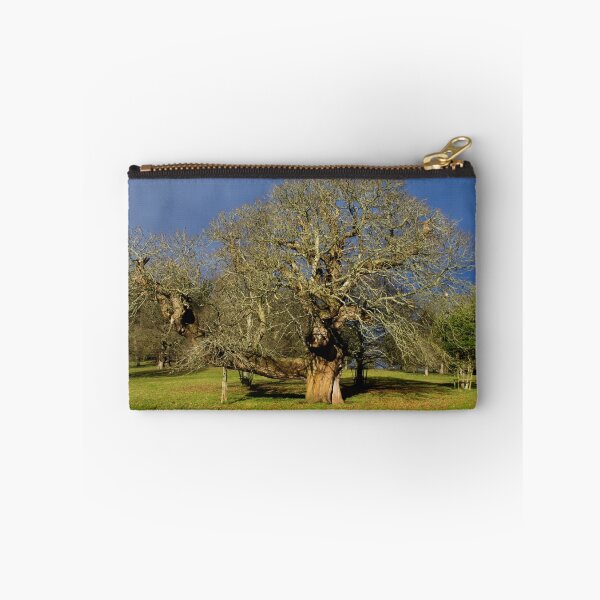 Item preview, Venerable old tree resting designed and sold by Pete Hemington.