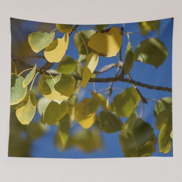 Item preview, Colorado Autumn Leaves designed and sold by Periscope9.