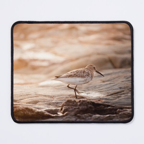 Item preview, Avocet at Sunset designed and sold by shortyblondey.