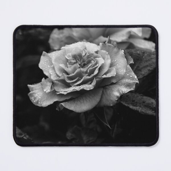 Item preview, Delicate Rose designed and sold by shortyblondey.