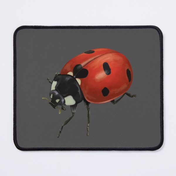 Item preview, Ladybird designed and sold by QuirkyTales.