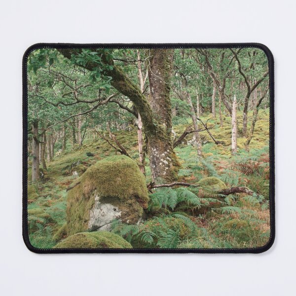 Item preview, Ariundle Oakwood 5: Heart of the Forest designed and sold by ShinyPhoto.