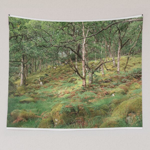 Item preview, Ariundle Oakwood 4: Heart of the Forest designed and sold by ShinyPhoto.