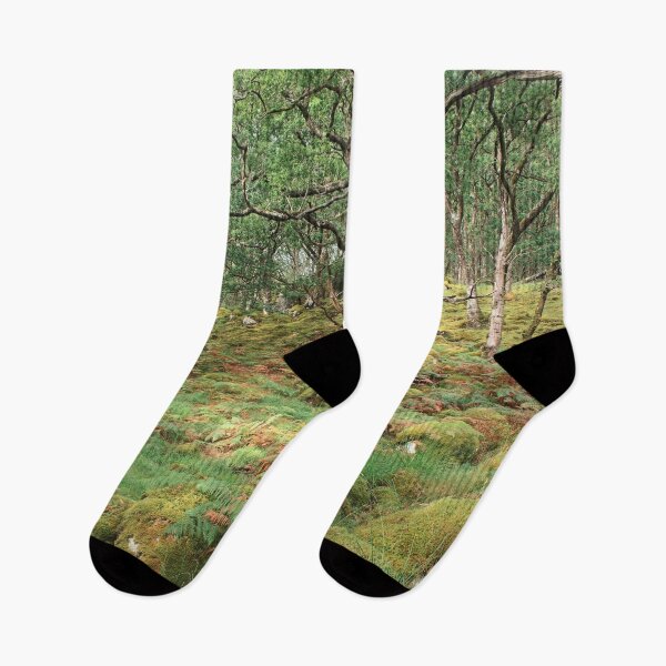 Item preview, Ariundle Oakwood 4: Heart of the Forest designed and sold by ShinyPhoto.