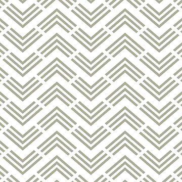 Imagen de la obra Green and White Chevron Rhombus Arrow Pattern Coordinates w/ PPG 2022 Color of the Year Olive Sprig PPG1125-4 - Colour Trends - Hue - Shade de ColorOfTheYears
