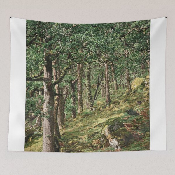 Item preview, Ariundle Oakwood 3 designed and sold by ShinyPhoto.