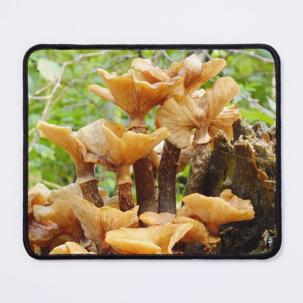 Honey Fungus Mouse Pad