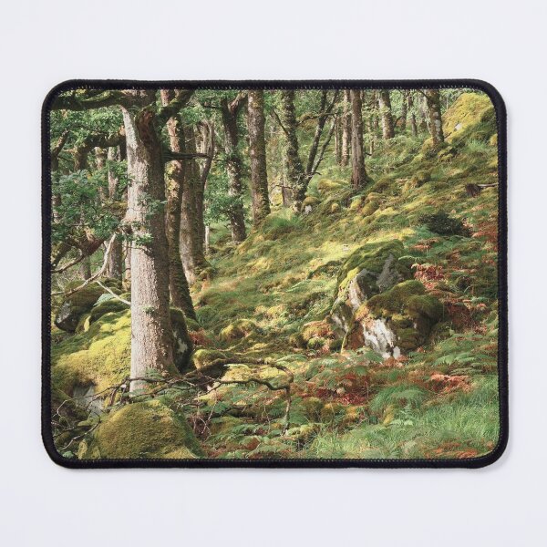 Item preview, Ariundle Oakwood 2 designed and sold by ShinyPhoto.