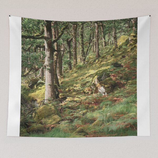 Item preview, Ariundle Oakwood 2 designed and sold by ShinyPhoto.