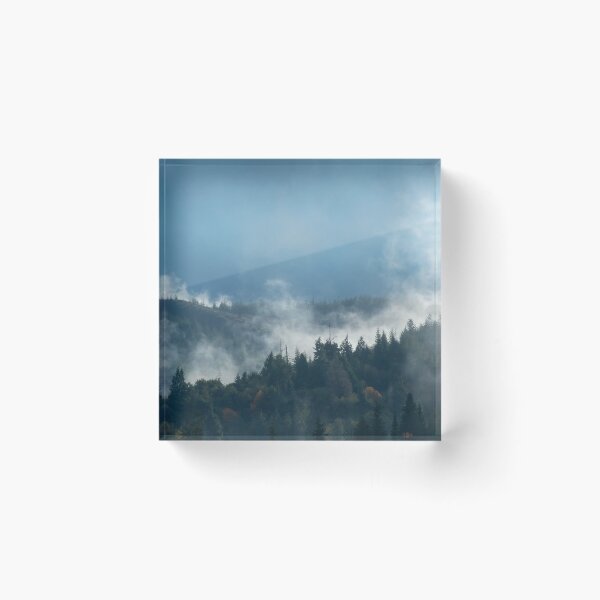 Item preview, Post Rain Steaming Forest ethereal fog rising Coast Range of Oregon designed and sold by Steven Holt.