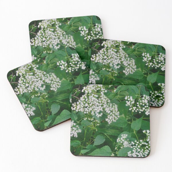 Item preview, White wild flowers designed and sold by Shulie1.