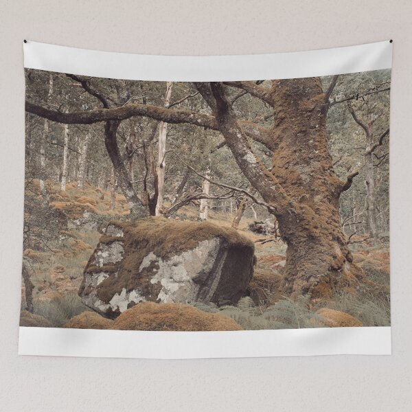 Item preview, Ariundle Oakwood 1 designed and sold by ShinyPhoto.
