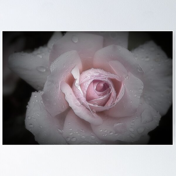 Item preview, Silk Rose designed and sold by Christine Lake.