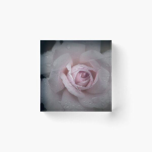 Item preview, Silk Rose designed and sold by Christine Lake.